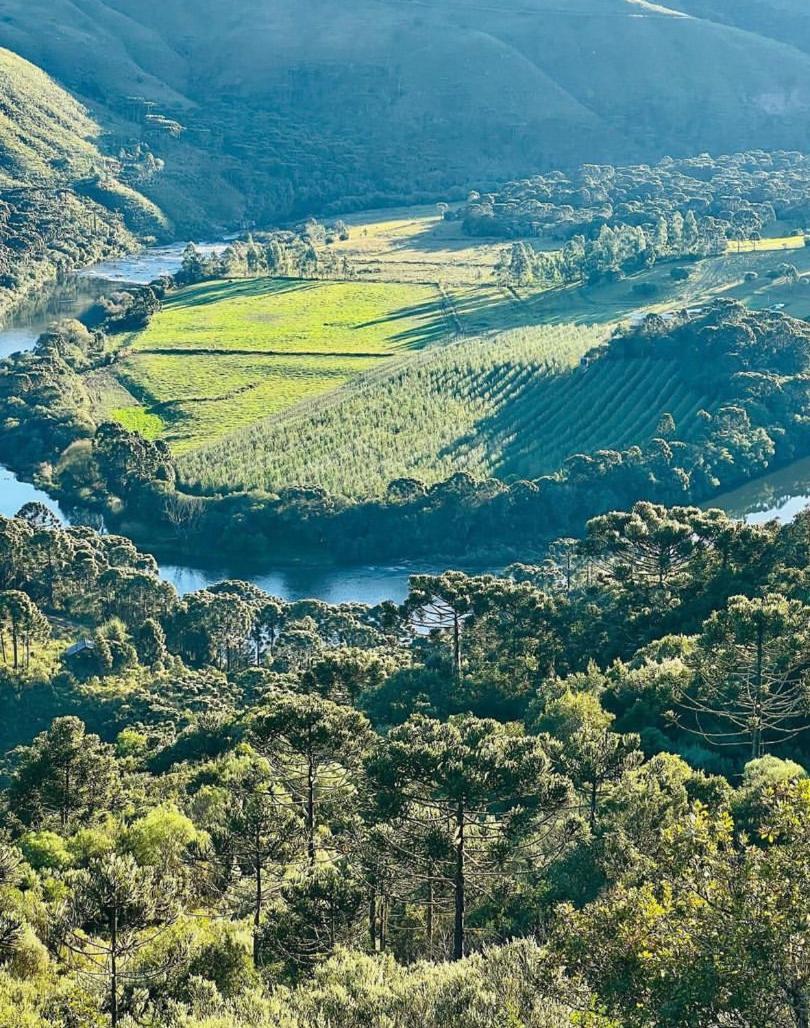 Pousada Fazenda Paim Sao Jose dos Ausentes Exterior foto